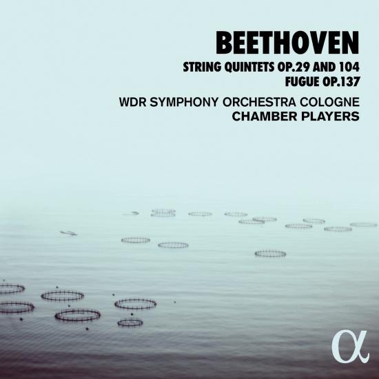 Beethoven CD Cover Photo